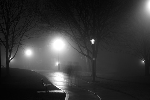 lampy v parku