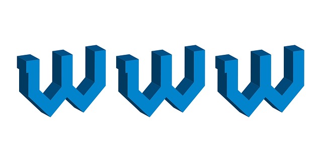 velké modré dvojité W znázorňující začátek internetové adresy